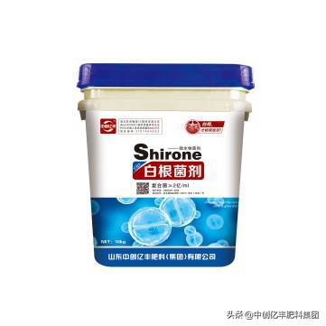 根系根系根系,别再说我没提醒你